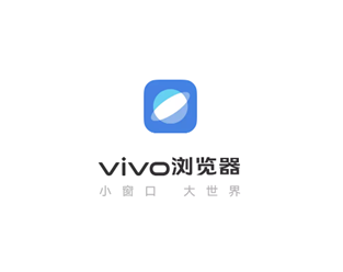 vivo2024汾