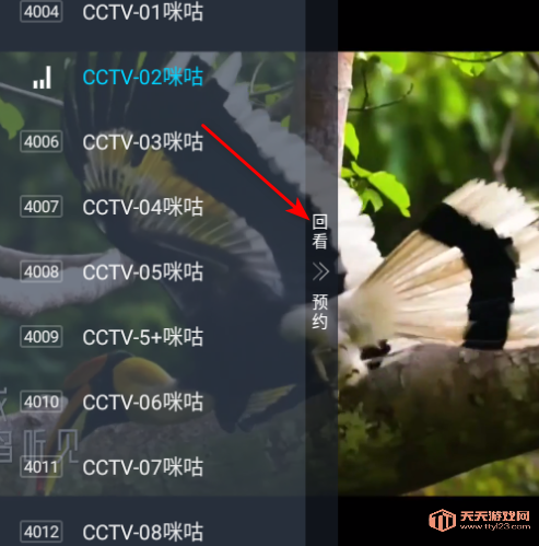 ǰߵtv°汾2025
