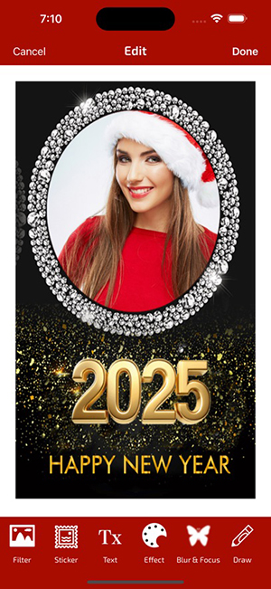 ׿ֻ(New Year Photo Editor)v1.3ͼ2