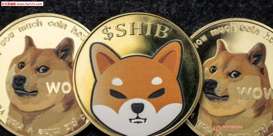 DOG交易平台怎么样 新手必知的5大要点 DOG交易平台怎么样 新手必知的5大要点