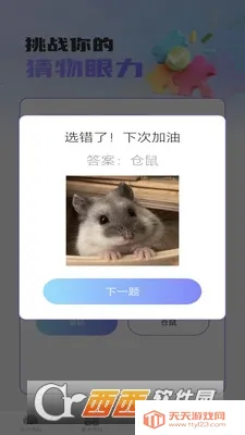 梦想脑力王(脑力开发) 梦想脑力王(脑力开发)