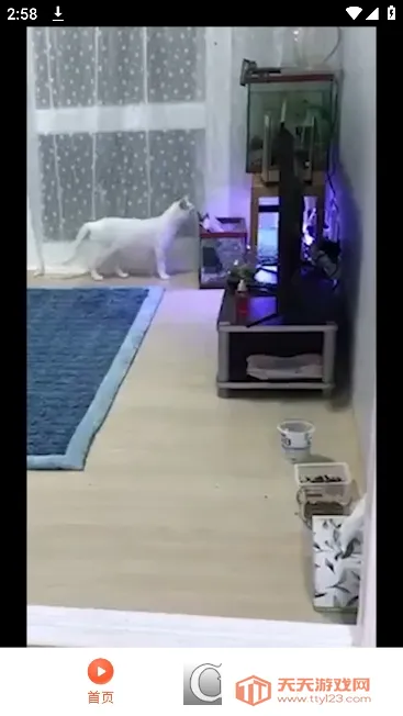 ̾(̾粥ƽ̨)v1.0.0 ֻͼ0