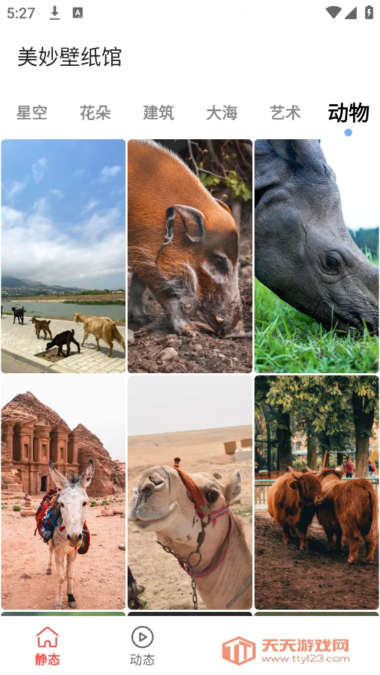 美妙壁纸馆安卓版手机版v1.3 官方正版截图0