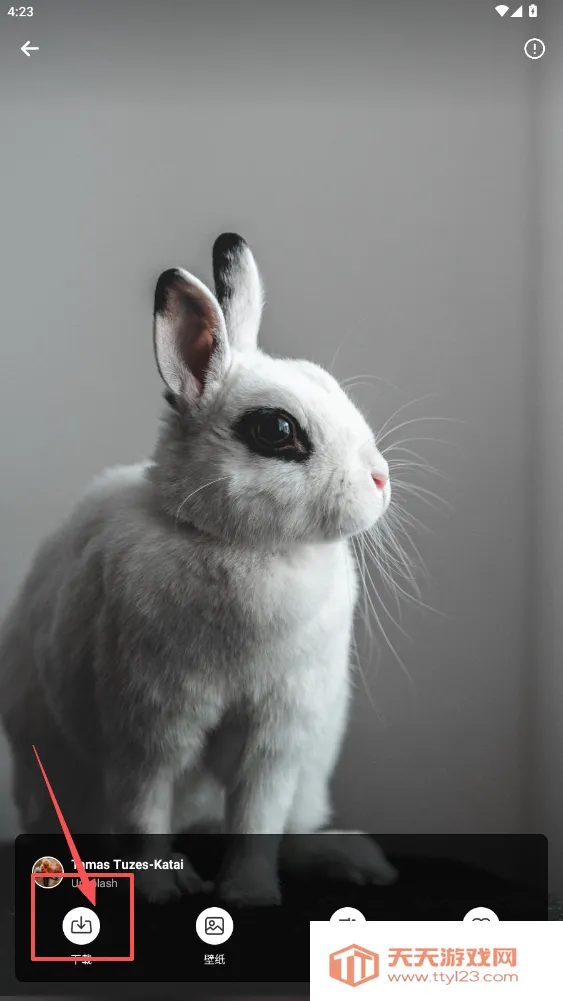 美妙壁纸馆安卓版手机版 美妙壁纸馆安卓版手机版