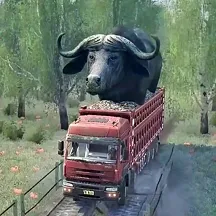 ŷ޿ʻģ(ģ) v1.01 ֻ