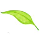 Xposed2025ٷ v3.1.9 ׿