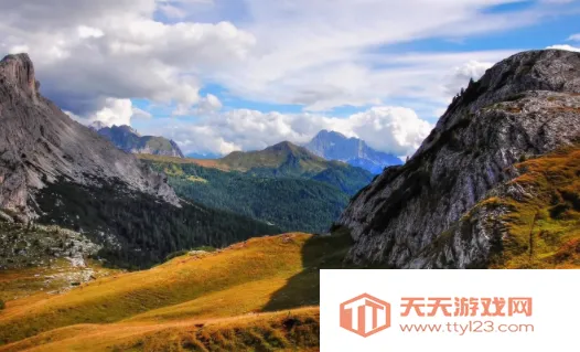 ׷��è(���׷��)