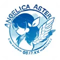 ANGELICA ASTER(ʹ鿨Ϸ) v1.17.2 Ѱ