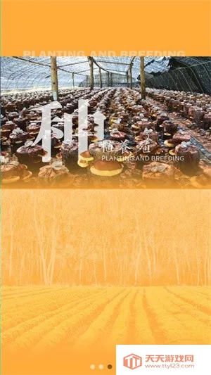 ɭũ(ũۺϷ)v1.0.12 Ѱͼ1