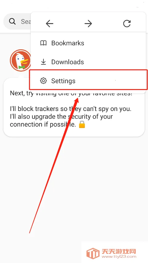 DuckDuckGo(��˽��������)