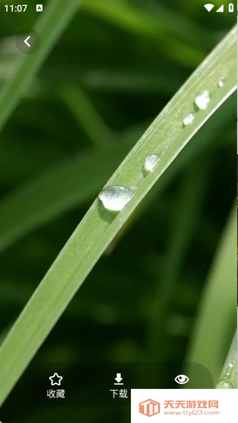 茄子漫画壁纸(壁纸资源多)v1.1 手机版截图2