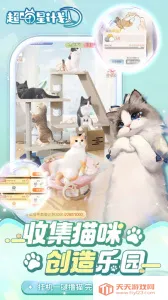 �����Ǽƻ�2025�ٷ�����v55219 ��׿���ͼ4