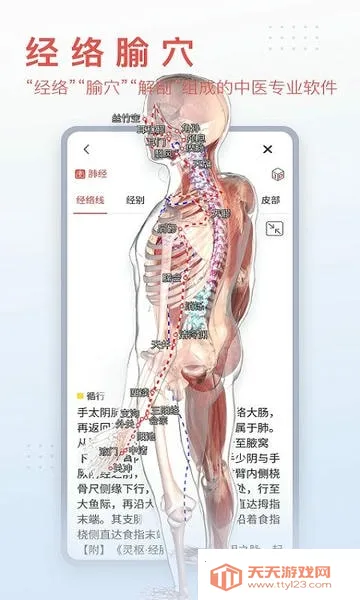 3Dbody����(3D����ѧϰ)v8.8.72 �ֻ����ͼ3