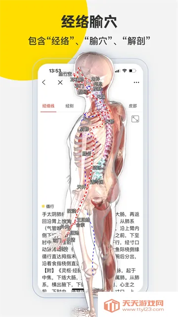 3Dbody����(3D����ѧϰ)v8.8.72 �ֻ����ͼ4