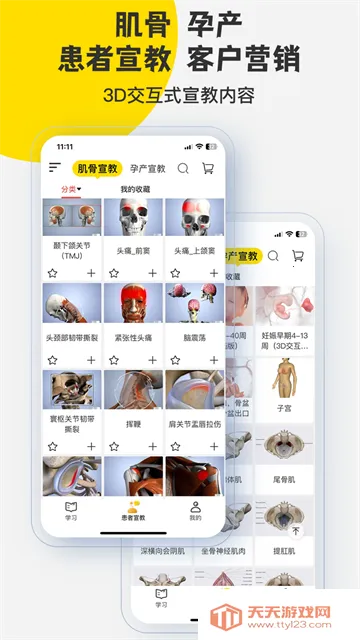 3Dbody����(3D����ѧϰ)