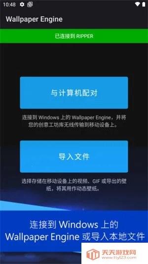 Wallpaper Engine最新手机版v2.7.4 安卓版截图3
