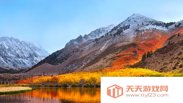 11��ֽ2025���°汾