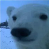 СԴ2025ٷ°汾 v1.7.5 ׿