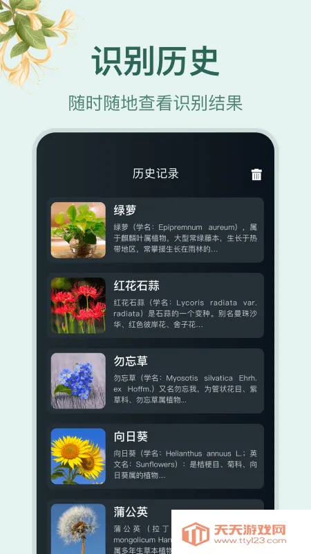 С԰��2025���°汾v1.4 ��Ѱ��ͼ2