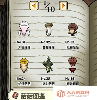 蘑菇花园四季安卓版手机版 蘑菇花园四季安卓版手机版