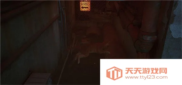 迷失Stray2025官方正版 迷失Stray2025官方正版