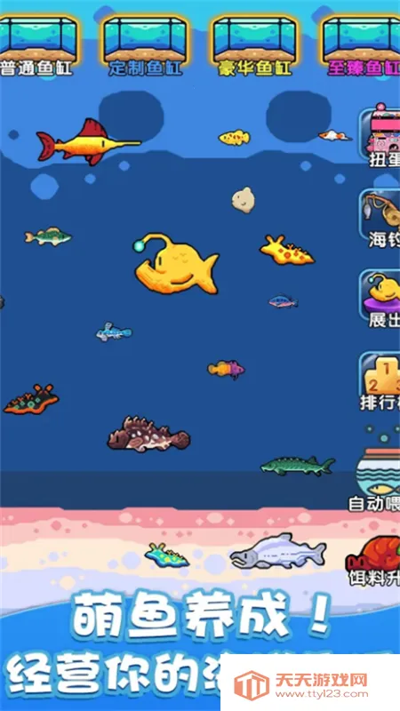 快来养鱼最新手机版v1.0 安卓版截图2