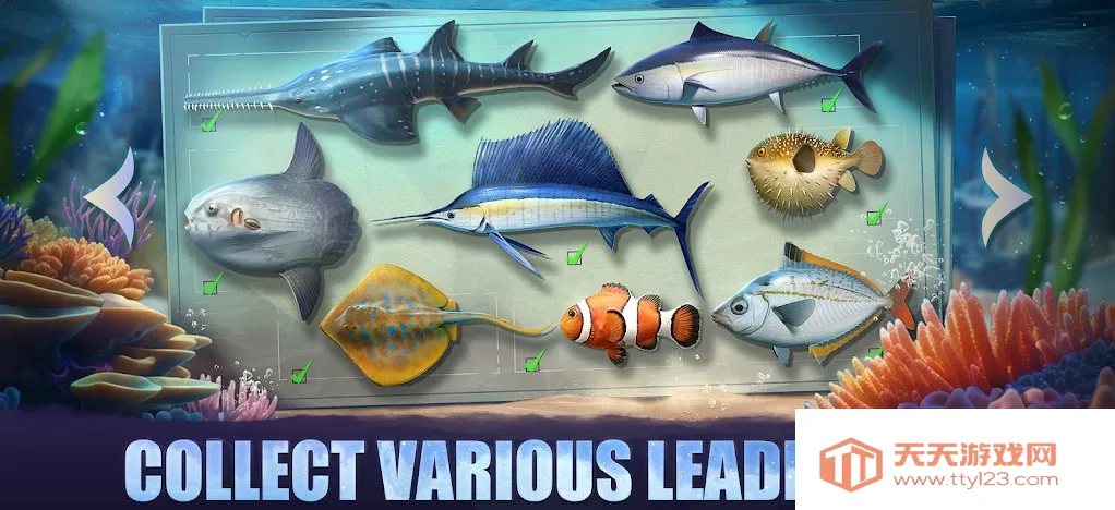 ۹⺣2025ذװv1.1.370687 ֻͼ2