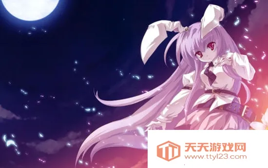 口袋壁纸最新手机版 口袋壁纸最新手机版