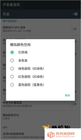 开发者选项2025官方正版 开发者选项2025官方正版