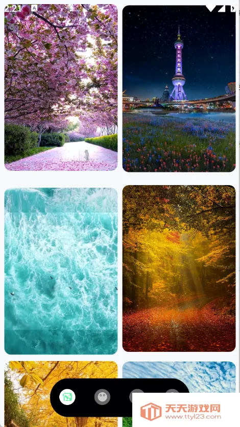 蝴蝶壁纸(壁纸资源软件)v1.0.4 手机版截图3