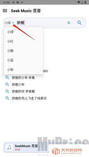 SeekMusic(���ֲ�������)