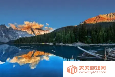 �ǻñ�ֽ2025�ٷ�����