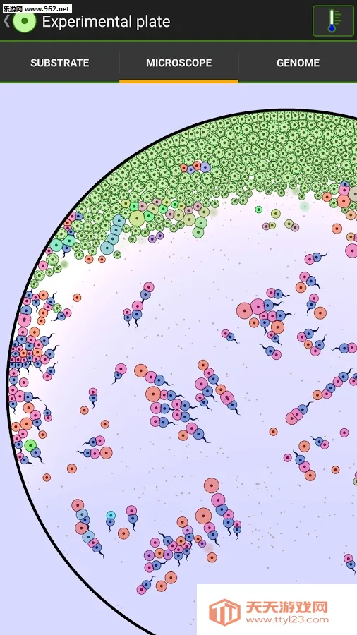 ϸʵ2025ٷv1.0 ֻͼ3