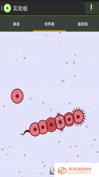 ϸʵ2025ٷv1.0 ֻͼ1