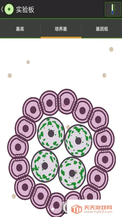 ϸʵ2025ٷv1.0 ֻͼ0