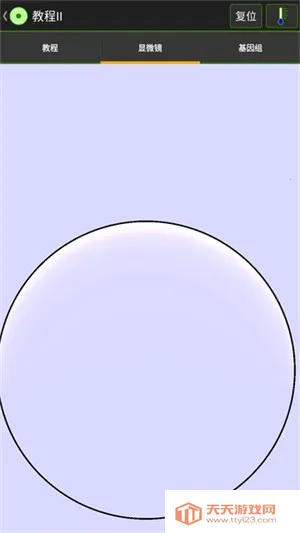 ϸʵ2025ٷv1.0 ֻͼ4