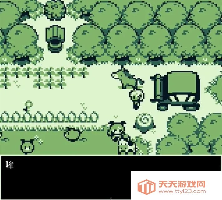 空径之民最新手机版 空径之民最新手机版