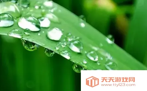 朝露相机(特效相机软件) 朝露相机(特效相机软件)