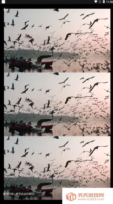 pixverse����AI�ٷ�����