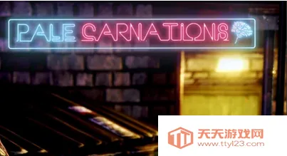 康乃馨俱乐部2025下载安装 康乃馨俱乐部2025下载安装