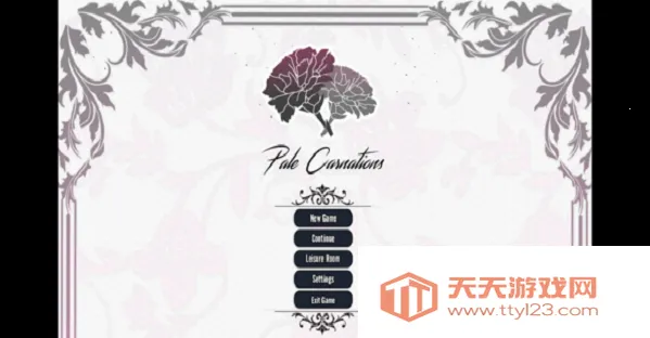 康乃馨俱乐部2025下载安装 康乃馨俱乐部2025下载安装