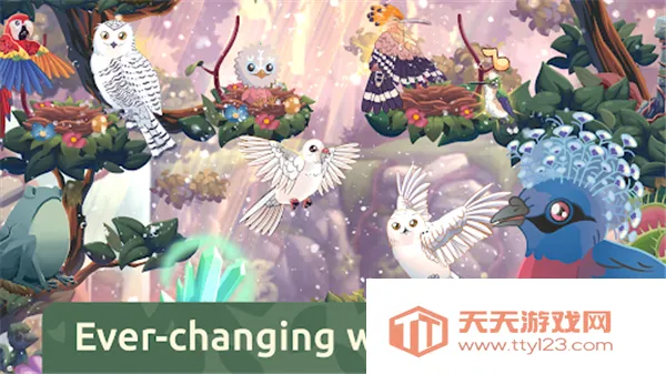 ��������2025���°汾v1.00 �ֻ����ͼ4