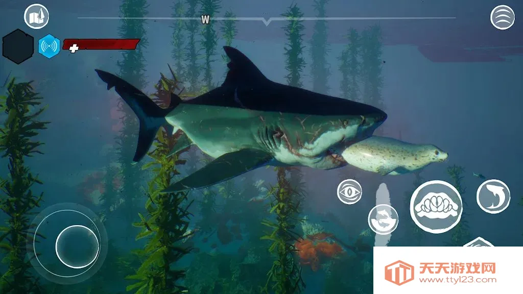 ʳ����ֱװ2026���°汾v1.1 ��׿���ͼ3