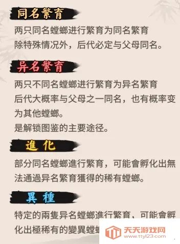 ��Ʒ���2026���°汾