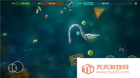 孢子2026官方正版v1.01 安卓版截图2