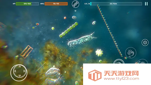 孢子2026官方正版v1.01 安卓版截图3