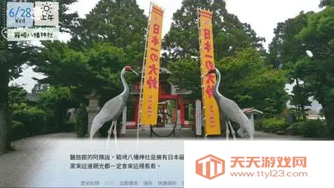 ��������2026�ٷ�����