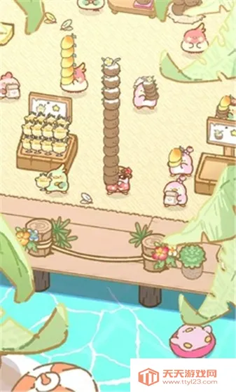 ߴ����վ2026���°汾