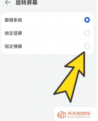 BOBO������޹����ɫ��