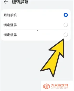 BOBO������޹����ɫ��